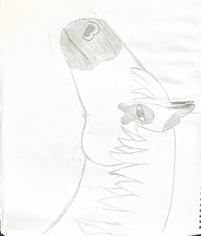 My art